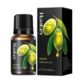 Olive essential oil 10ml bottle variant, pure plant extract for skin care and massage use. - Olive Oil