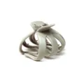 Beige octopus hair claw clip, large plastic hair clamp for styling and daily wear. - Off White