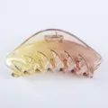 Gradient Hair Claw Clip Translucent Shark Clip Elegant Hair Accessory Yellow Brown 1pc - 11.7cm Glossy Gradient Yellow and Coffee Claw Clip Z1732-L013/03