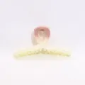 Gradient pink plastic hair claw clip with stylish ribbon bow design, versatile daily accessory. - 9cm / Pink Gradient