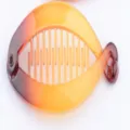 Gradient brown fish banana hair clip, stylish plastic hair claw for women daily styling. - 9.5cm / Glossy Yellow Coffee Gradient