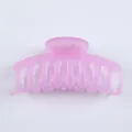 Pink frosted hair claw clip, minimalist translucent matte resin shark hair accessory. - Frosted Jelly Purple