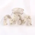 Pince a cheveux transparente en acrylique taille moyenne accessoire mode ecailles - Couleur 1