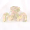 Pince à cheveux rose et verte en acétate translucide, accessoire élégant pour coiffure. - Style Rétro 3