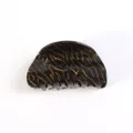 Molletta per capelli in acrilico, elegante fermaglio nero oro per styling quotidiano donna. - nero e oro