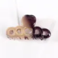 Molla per Capelli in Acetato Sfumata Piccola Artiglio per Capelli Retro Accessori - Pinza Piccola Traforata (F461) / Beige a Viola Scuro