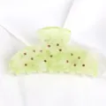 Molla per capelli in acetato verde chiaro con strass marroni, elegante accessorio per ragazze. - Stella Verde Chiaro