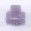 Minimale molletta per capelli viola mini da donna, grazioso accessorio in acetato variante. - Lavanda