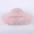 Molla per Capelli in Acetato Rosa Perlato Lucido Carino Semplice Accessore Acconciatura - Rosa Chiaro Iridescente (Colore 34)
