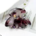 Molla per capelli in acetato viola con scaglie d'oro, piccolo accessorio geometrico. - Marmo Viola Scuro e Bianco