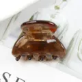 Molla per capelli trasparente marrone in acetato, clip geometrica per lo styling quotidiano. - Marrone Traslucido