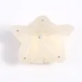 Molletta per Capelli Stella Acrilico Strass Carino Accessori Capelli Donna Ragazza - Bianco