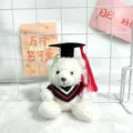 Süßer Abschluss Bär Plüschtier Schlüsselanhänger weiße Teddybär Puppe als Geschenk - 12cm / Weiß