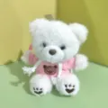 Cute plush teddy bear pendant toy wearing pink hoodie, soft stuffed doll bag accessory. - 15cm Colorful Cord / Pink