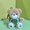 Cute fluffy teddy bear pendant plush toy wearing green hoodie detail showcase for bag or keys - 15cm Colorful Cord / Green