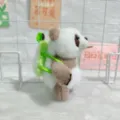 Süßer Panda Plüschtier Anhänger mit grünem Rucksack Mini Schlüsselanhänger Geschenk - Stehender Bär mit Avocado-Rucksack (mit Haargummis)