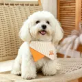 Cute dog bandana pet bib small dogs cats orange zigzag pattern cute bear design pet accessories - S / Teddy Ailan Pet Bib - Orange Lines