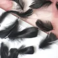 Schwarze Bastelfedern für Geschenkkarton Füller und DIY Dekoration, weich und leicht. - Schwarz