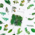 Grüne Pflanzen Blatt PET Aufkleber Set, 40Stk ästhetische botanische Tagebuch Deko Sticker. - Grüne Feld Entdeckung / 40 Stück/Packung