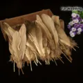 Gold besprühte Gänsefedern für DIY Hochzeit Handwerk Dekoration Kunst Projekte 14-20cm - 50 Stück Beutel / Gold