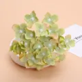 Artificial hydrangea flower heads for wedding decoration, DIY craft projects, and floral arrangements. - Style 1