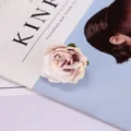 Künstliche Seidenrosen Blüten Köpfe künstliche Blumen für Heimdekoration Fotografie Requisiten - Stil 1