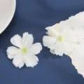 Detail shot of white artificial silk flower heads for DIY crafts and wedding decor. - Style 6