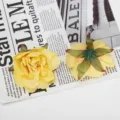 Kunstmatige lotusbloemhoofdjes zijde nepbloemen voor DIY ambachtelijke geschenkdoos decoratie prop - Stijl 5