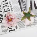 Kunstmatige lotusbloem koppen roze zijde bloemen DIY ambacht geschenkdoos decoratie rekwisieten - Stijl 10