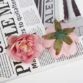 Kunstzijde lotus bloemhoofdjes voor DIY handwerk en geschenkdoos decoratie in roze kleur. - Stijl 11