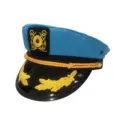Blue and black captain hat detail showcasing gold embroidery leaves and textured braided rope. - Adjustable / Blue