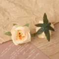 Künstliche Seidenrosen Blütenköpfe für Heimdekoration Hochzeit Blumenwand DIY Handwerk. - Champagner