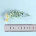 Künstliche grüne Pflanzenzweig kleine Blume Dekor für Hochzeit Fotografie Zuhause - Stil 3
