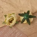 Nahaufnahme von künstlichen Seidenrosenblüten, Vintage-Stil Stoff Blumenmaterial. - Matcha-Grün