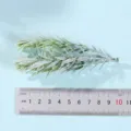 Artificial green plant leaf detail branch close-up showing length with ruler for home decor. - Style 6