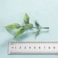 Artificial green plant leaf branch for home decor, realistic simulation foliage detail shot. - Style 12