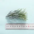 Artificial green plant leaf detail, frosted pine needle branch for home decor and display. - Style 16