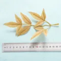 Artificial plant leaf branch for home decor, realistic design with detailed veins, table display. - Style 19