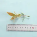 Artificial plant leaf branch detail shot, realistic green foliage prop for home decor display - Style 20