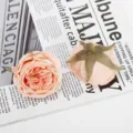 Artificial burnt-edge rose flower heads for wedding decoration and floral arrangements. - Style 10