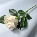 Kunstmatige zeeproos bloemstengel met 5-laagse grote bloembladen voor de huwelijksdecoren. - Broken Wit