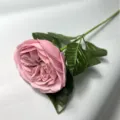 Enkele kunstmatige roze roos voor huisdecoratie, bruiloften en romantische vakantiecadeaus. - Austin Lotusroze