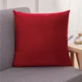 Housse de coussin en velours rouge minimaliste moderne, taie ultra-douce pour canapé et décoration. - 30*50 cm (taie d'oreiller + rembourrage non tissé) / Rouge