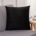 Housse de coussin unie en velours au design minimaliste moderne pour canapé et lit. - 30*50 cm (taie d'oreiller + rembourrage non tissé) / Noir