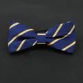Farfallina affari a righe blu giallo da uomo dettaglio vestito da sposa camicia. - Colore 003