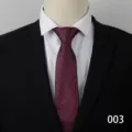 Cravatta uomo affari righe bordeaux blu vista dettagliata stile professionale. - Stile 003