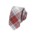 Detailed view of the red and blue plaid tie rolled up, showing clear texture and neat fabric. - Color 018