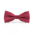 Men burgundy striped bow tie detail, classic formal wear accessory for business and wedding events. - Burgundy