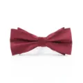 Burgundy textured bow tie detail, elegant fabric close up shot for men's formal suit wear. - Burgundy