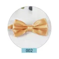 Farfallino in raso dorato vista dettagliata, accessorio monocolore elegante per abito. - Oro